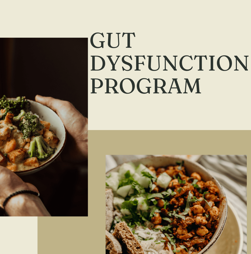 Gut Dysfunction Program